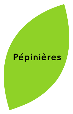 Pépinières